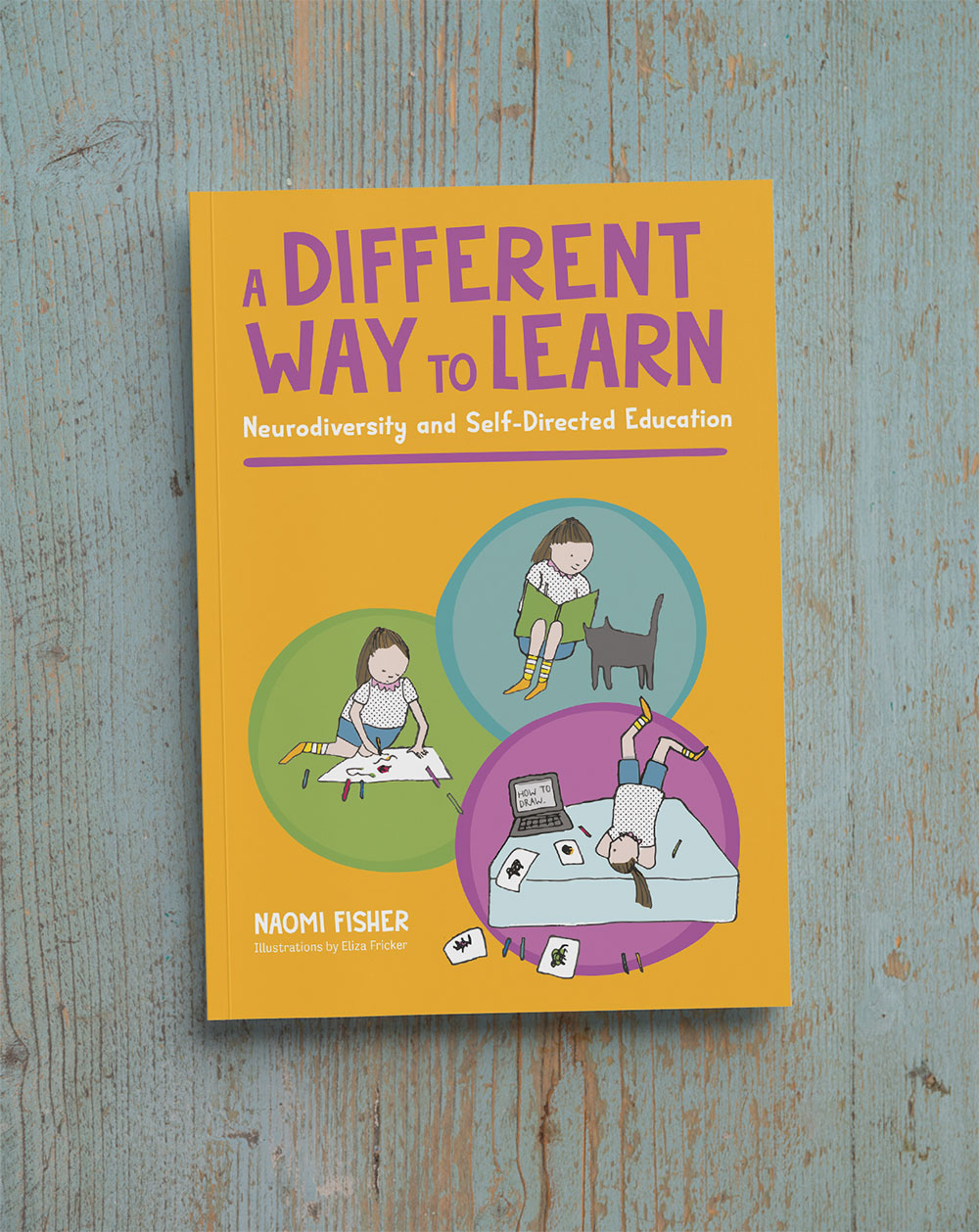 A Different Way To Learn bookcover