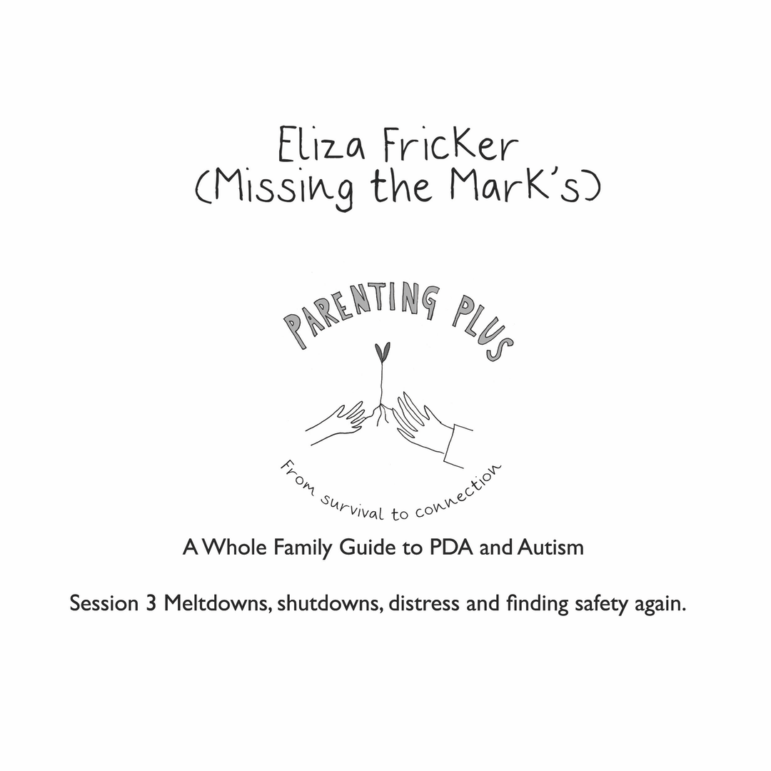 WEBINAR - MELTDOWNS SHUTDOWNS DISTRESS AND FINDING SAFETY AGAIN - ELIZA FRICKER
